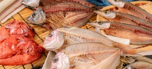 meat-poultry-seafood-supplier-japan