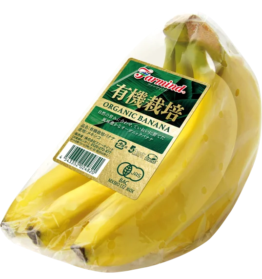 fruit-vegetable-supplier-japan