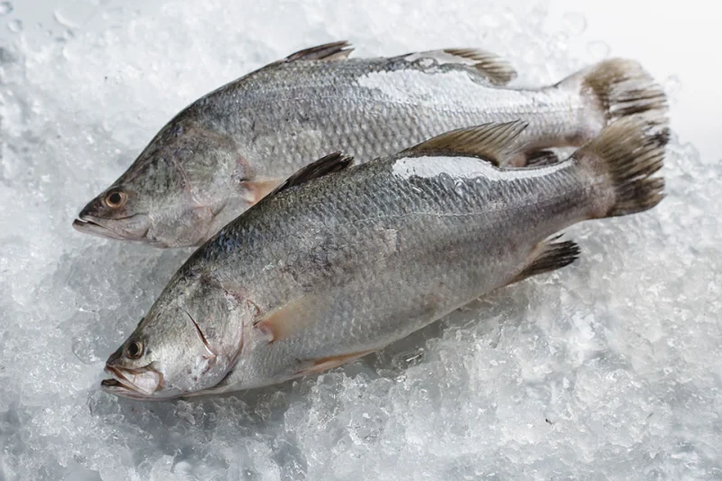 seafood-supplier-thailand