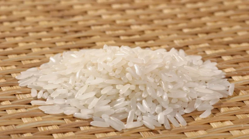 cereal-grains-rice-supplier-thailand
