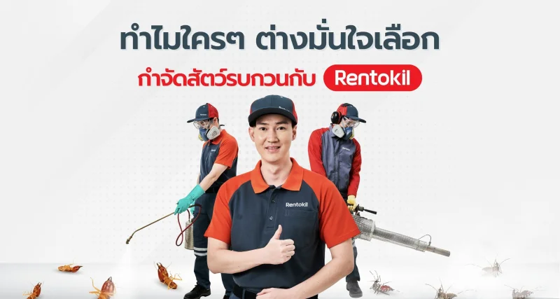 pest-control-thailand