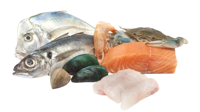 seafood-supplier-thailand