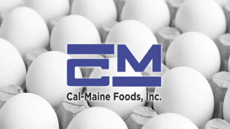 egg-supplier-usa