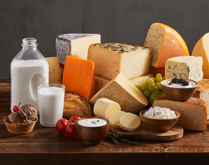 dairy-supplier-usa