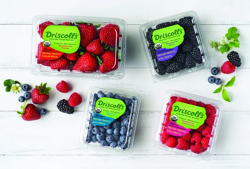 wholesale-fruit-supplier-usa