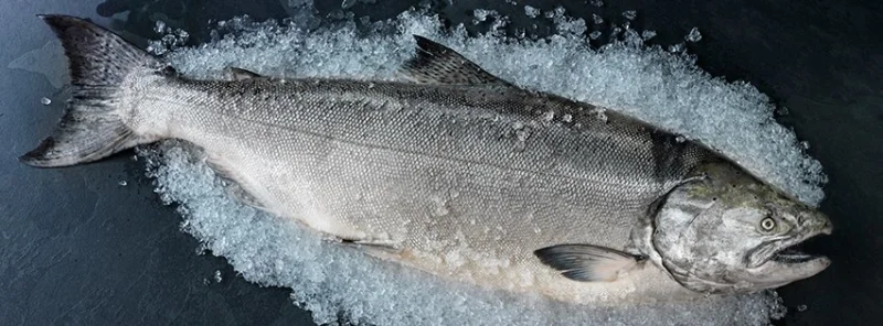 Pacific Seafood