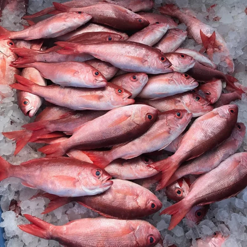 seafood-supplier-usa