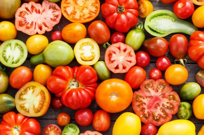 vegetable-supplier-usa